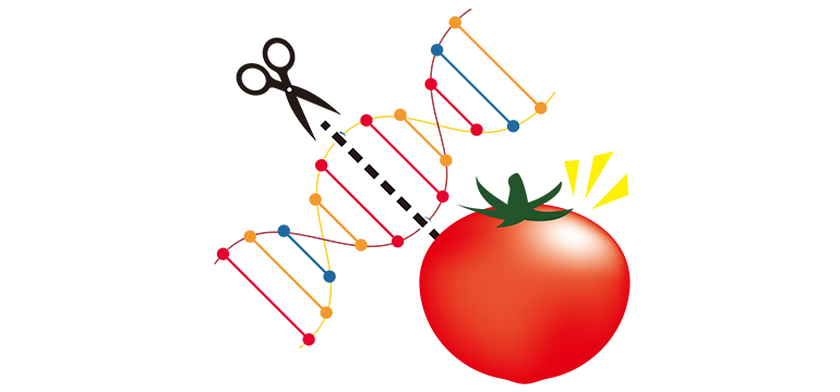 ゲノム編集のイメージ図