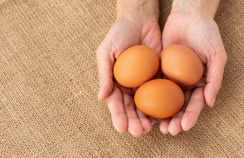 食の植物化（5）-卵代替え製品