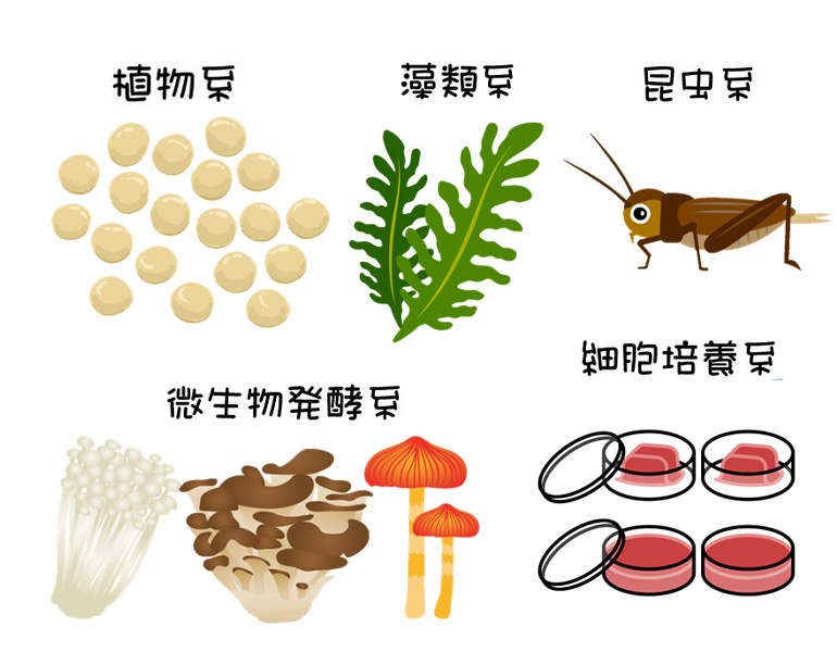 プラントベースフードの5つの分類図(植物系、藻類系、昆虫系、微生物発酵系、細胞培養系)