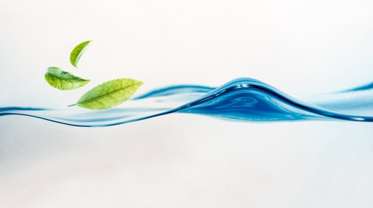 水面と葉っぱの画像