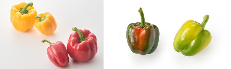 オイシックス・ラ・大地「猛暑順応ベジ “横綱パプリカ” “カメレオンパプリカ” 」